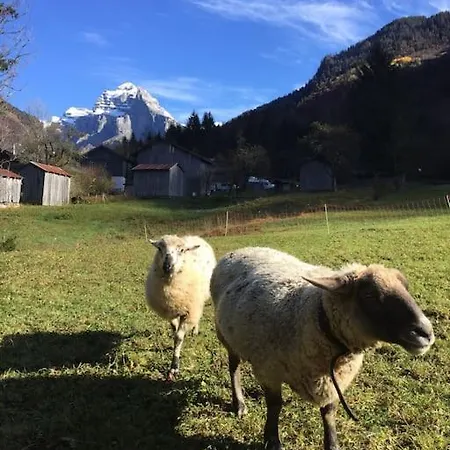 Ferme Sixt-fer-à-cheval Chalé Sixt